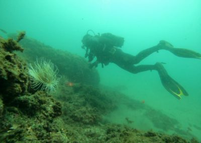 buceo cadiz